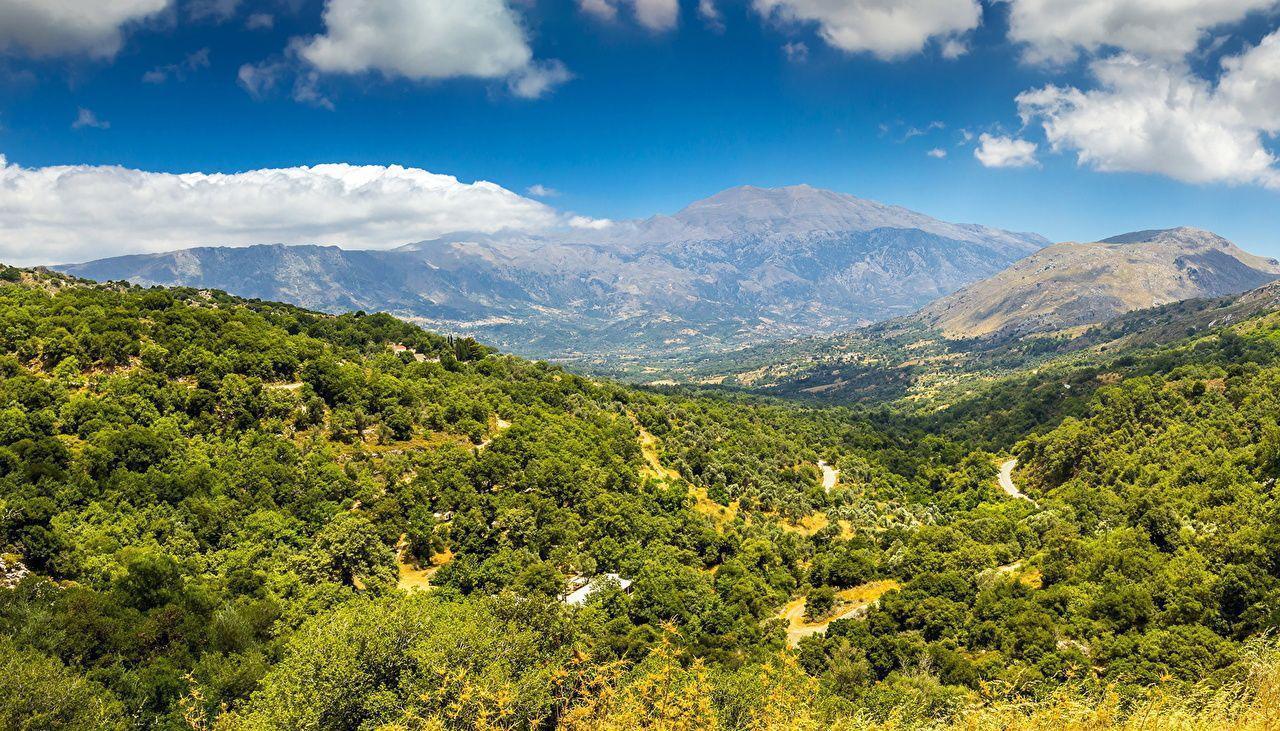 Creta & Bee Honey header